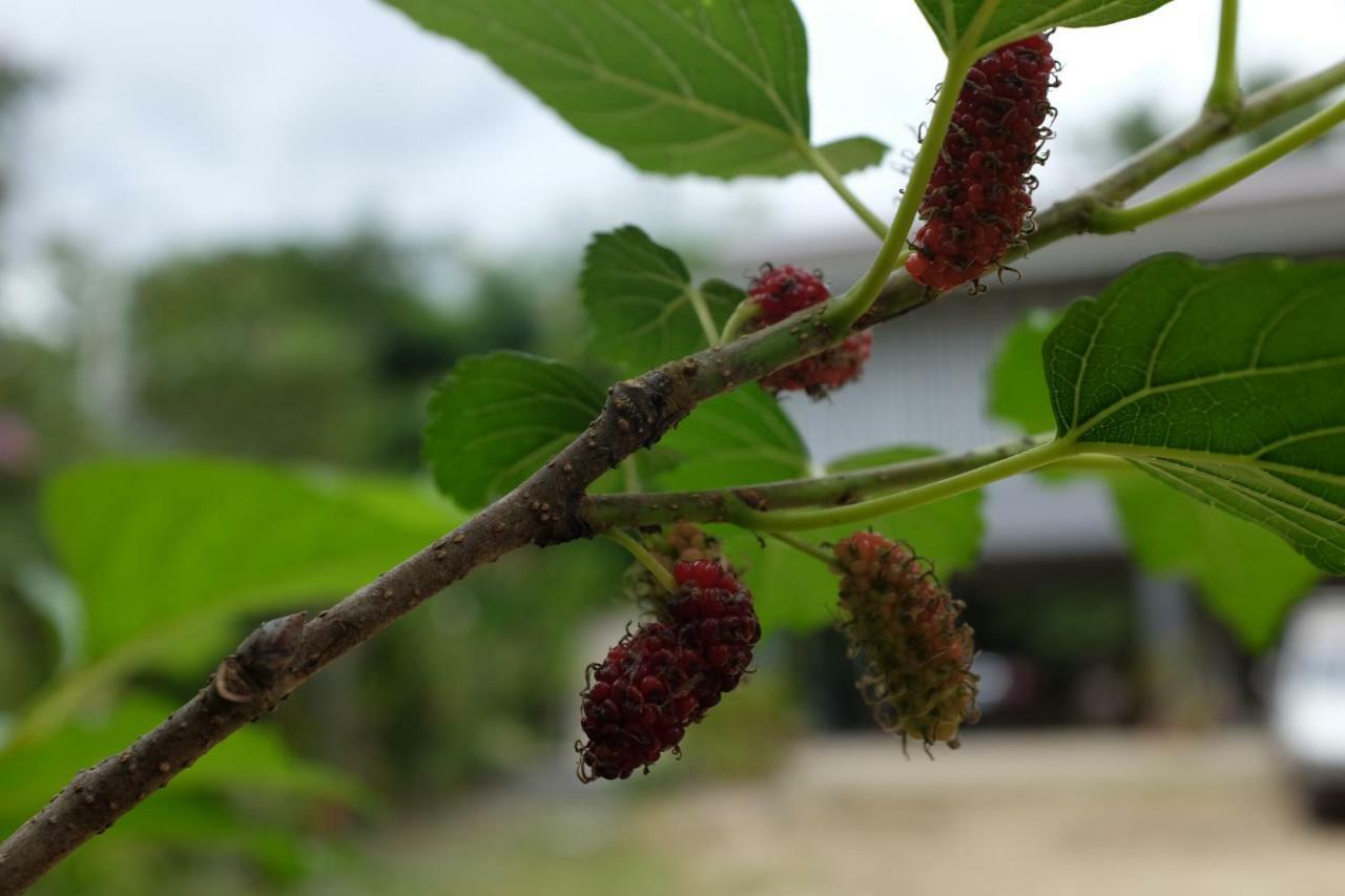 Appartamento Rai Boonsom Phrao Esterno foto